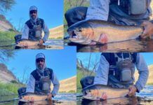 10 Proven Steelhead Fly Fishing Tips and the Wet Fly Swing steelhead fly fishing