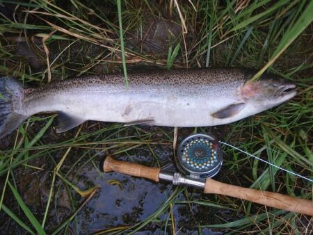 The 4 P’s of Successful Fly Fisherman fly fisherman