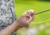 Dry Fly Fishing Basics and the 10 Best Dry Flies of All Time dry fly fishing