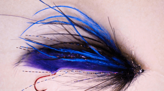 WFS 003 – Jay Nicholas on Salmon, Steelhead Fly Fishing and Best Flies for Steelhead jay nicholas