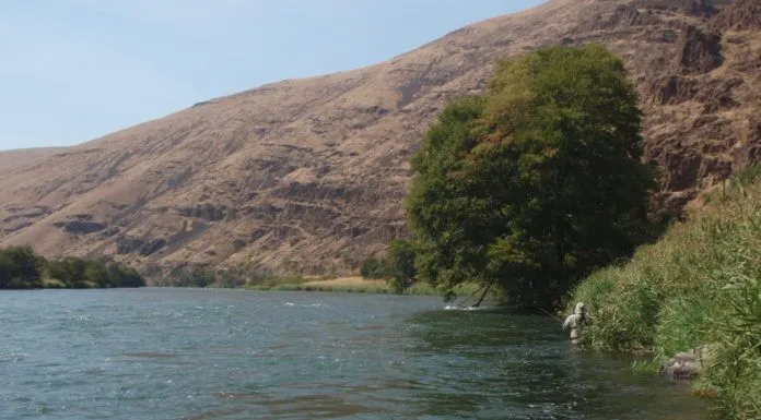 The History of Fly Rods in the 20th Century fly rod history