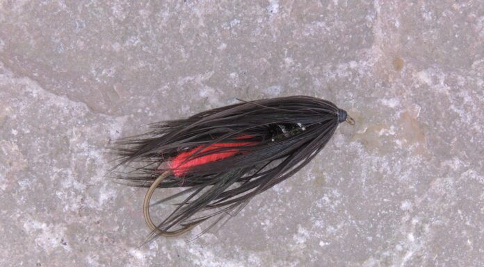 How to Tie a Chaddock Variation – Guest Fly Tying Video chaddock