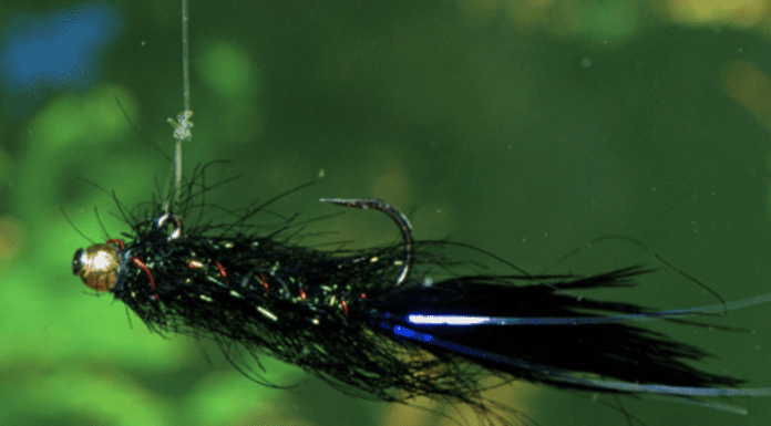 Phil Rowley on Stillwater Fly Fishing, Chironomids, and Brian Chan (WFS 034) phil rowley