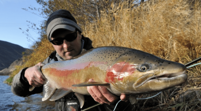 Summer Steelhead Fly Fishing with Tom Larimer – Tips, G Loomis, Spey Lines (WFS 011) tom larimer
