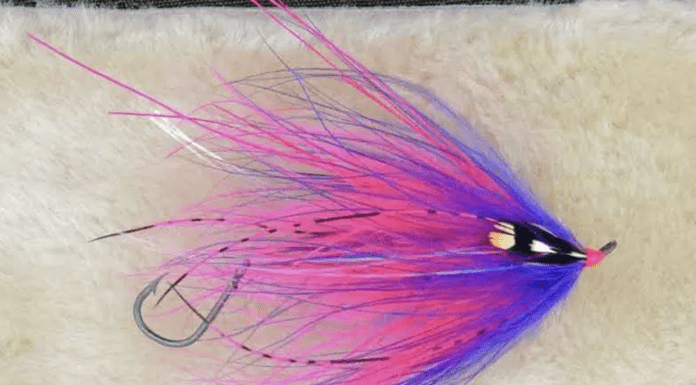 WFS 008 – Fly Tying Interview with Darren MacEachern from Piscator Flies darren maceachern