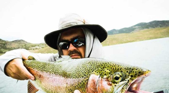 Fly Fish Food with Curtis Fry – Dry Flies (WFS 040) curtis fry
