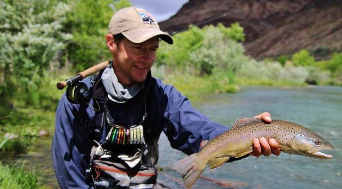 WFS 043 – Devin Olsen’s Euro Nymphing Rig and Tips from a Competitive Angler devin olsen