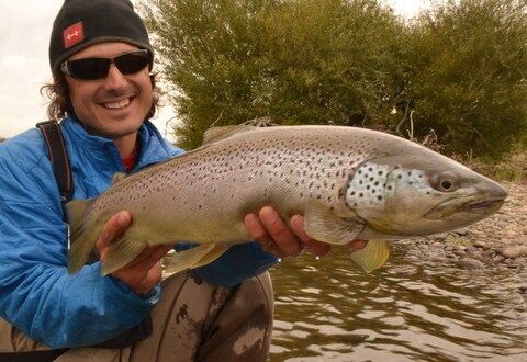WFS 057 – Argentina Fly Fishing with Justin Spence | DIY, Brown Trout, Golden Dorado, Big Sky Anglers justin spence
