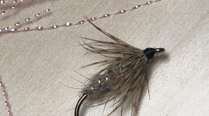 Top 6 Recommended Dry Fly Fishing Flies that Catch Fish with Gene Shropshire (WFS 165) soft hackle hares ear