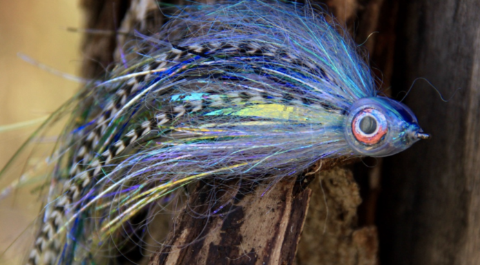 WFS 096 – Streamers with Gunnar Brammer – Smallmouth Bass, Pike Fly Fishing, Predators, Kelly Galloup, St. Louis River gunnar Brammer