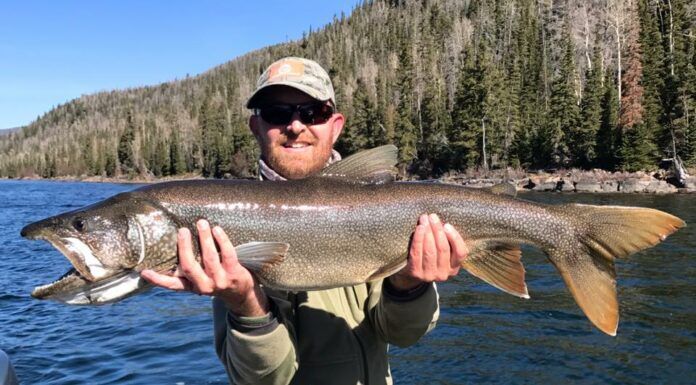 WFS 108 – Euro Nymphing Rig and Tips with Lance Egan – Cabelas, Fly Fish Food, Team USA lance egan fly fishing