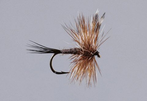 WFS 114 – Rainy’s Flies with Rainy Riding – Fly Tying Innovation, Foam, Matching Hatches, The Grand Hopper rainy's flies