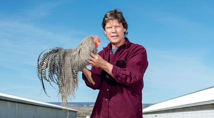 WFS 115 – Whiting Farms with Tom Whiting – Fly Tying Materials, Steelhead Spey Hackle, Genetics, Hoffman, Scaleless Birds tom whiting