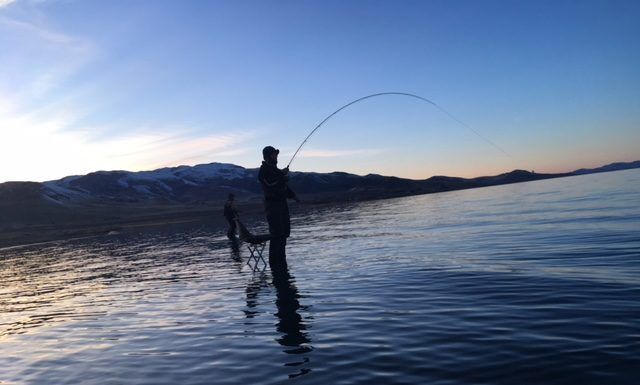 Fly Fishing Giveaway to Pyramid Lake with Brian Oakland – Got Fishing, Lahontan Cutthroat Trout pyramid lake