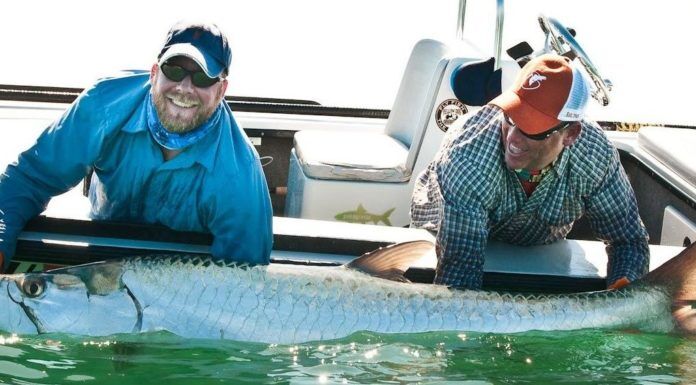 Giant Tarpon Fly Fishing Success with Bruce Chard (WFS 124) bruce chard fly fishing