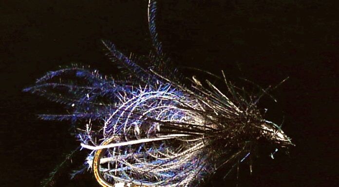 WFS 120 – Small Stream Fly Fishing with Jeff Morgan – Entomology, Oddballs, Flying Ant, Gary Lofontaine jeff morgan