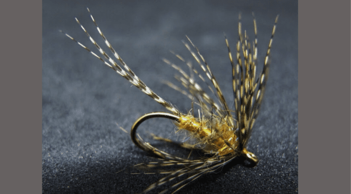 Swinging Flies for Trout with Steven Bird – The Soft Hackle Journal (WFS 134) steve bird soft hackle journal