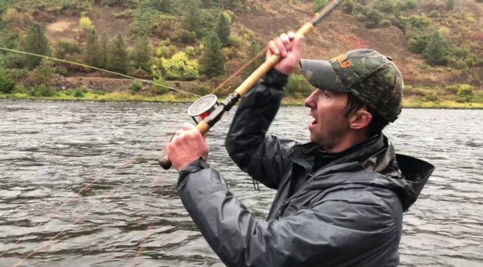 Swing the Fly Magazine with Zack Williams – Spey Tips, Steelhead, Clearwater River (WFS 151) zach williams