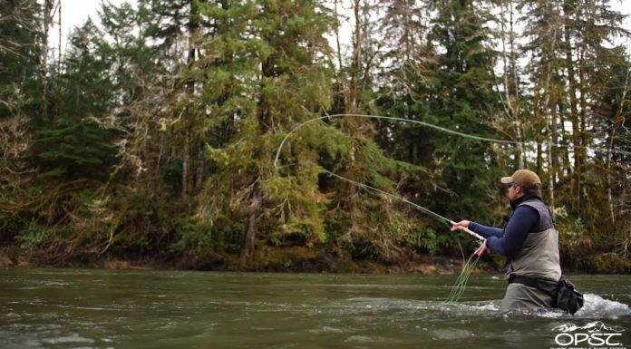 Olympic Peninsula Steelhead Fishing with Trevor Covich – Spey, Forks (WFS 154) trevor covich