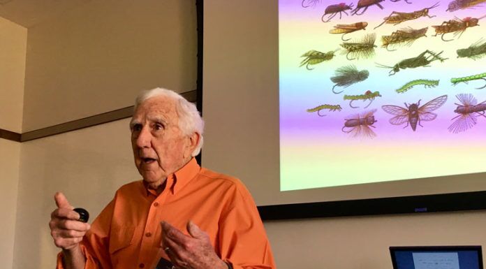 WFS 160 – The Dave Whitlock Podcast – Terrestrials, White River, Passion dave whitlock