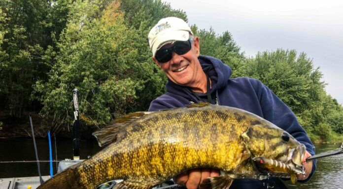 WFS 241 – Larry Dahlberg and the Hunt for Big Fish larry dahlberg