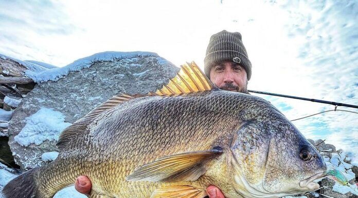 Great Lakes Dude #4 – Skinny Water Fishing with Dave Hurley – Drum Fish, Carp, Spotfin Croaker skinny water