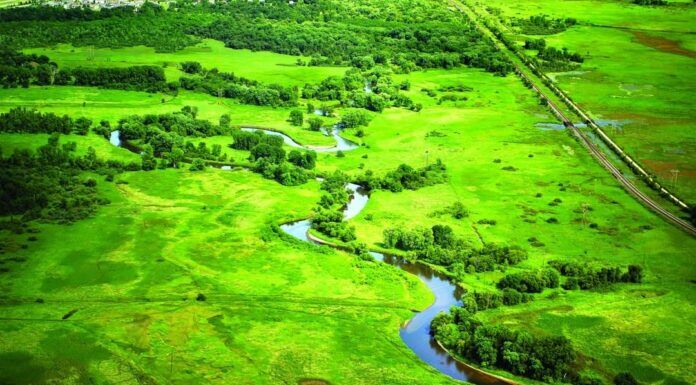 579 | Farming and Conservation in the Driftless with Carol Abrahamzon of the Mississippi Valley Conservancy Mississippi valley conservancy