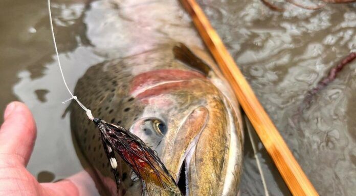 589 | Casting Back in Time: The Art of Bamboo Rodmaking & Traditional Fly Fishing with Ed Few