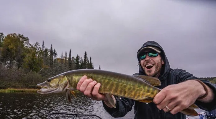 605 | Musky Fly Fishing with Dan Donovan of Musky Fool Fly Fishing Co. musky fly fishing