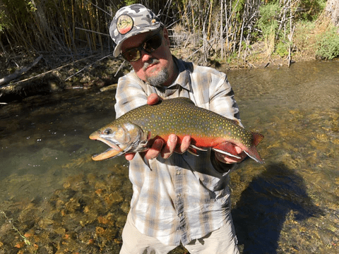 Traveled #18 | Jimmy’s All Seasons Angler with Curtis Fry – Fly Fish Food, Fly Tying, Fly Shop Experience jimmy's all seasons angler