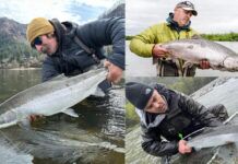 In The Bucket #5 | Expert Tips on Steelhead, Salmon, and Carp with Stu Fox, Eric Leininger, and Scoot Mason in the bucket podcast