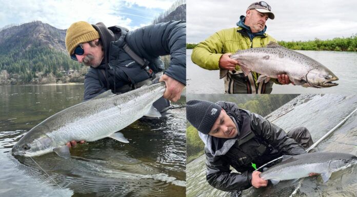 In The Bucket #5 | Expert Tips on Steelhead, Salmon, and Carp with Stu Fox, Eric Leininger, and Scoot Mason in the bucket podcast