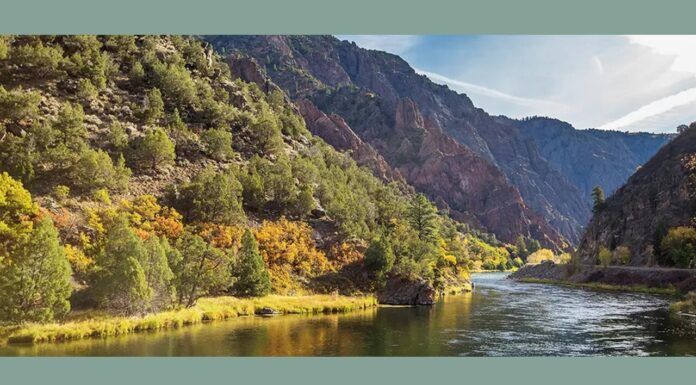 737 | Fly Fishing the Gunnison with John Radle – Bauer Fly Reels, Salmonfly Hatch, Black Canyon gunnison river