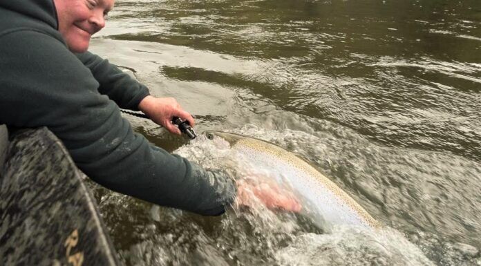 790 | Steelhead Fly Fishing on the Muskegon River with Kevin Feenstra (Episode 13 Re-Release)