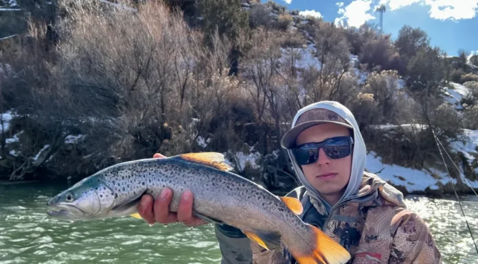 796 | Fly Fishing the San Juan River with Drew Bone – New Mexico, Fly Fishing Championship