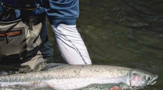 833 | The Skeena Spey Experience with Jeff Liskay skeena