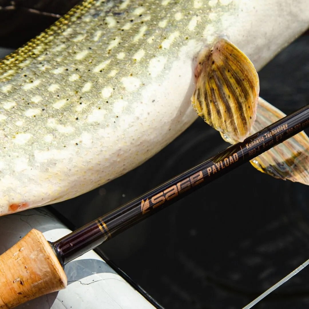 fish eyes rod and reel for sale Jacob Wheeler 2.0 – Duckett Fishing mc cast control Fly Fishing Equipment & Model:Carbon Medium-Light 32