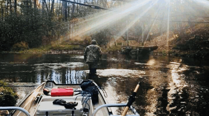 869 | Beyond the Giveaway: Missouri River Dry Fly Fishing with Eric Johnson
