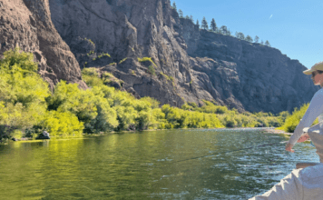 903 | Fishing the Trico Hatch and the Missouri River Dry Fly School with Craig & Warren DeMark fishing the trico hatch