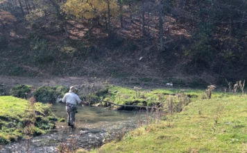 928 | The Divot, Pivot, and Twist: Dry Dropper Fishing Beyond the Basics with Jason Randall