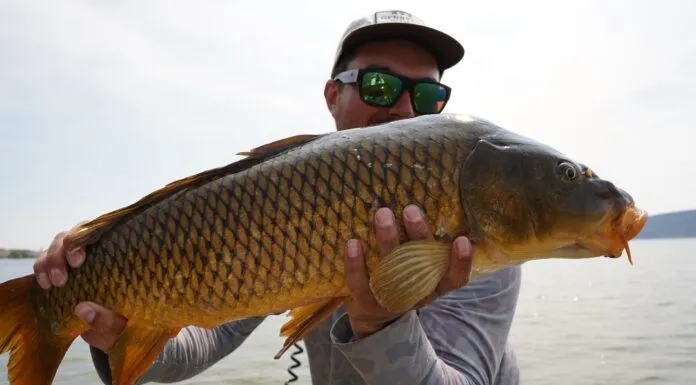 945 | Carp Flats, Bonefish Trips, and Idaho Steelhead with Drew Evans from House of Fly