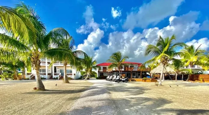 954 | Belize Bonefish, Tarpon & Permit: One Angler’s First Flats Experience The Blue Bonefish Lodge