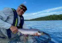 956 | Newfoundland Atlantic Salmon Fishing with Stephen Brunt newfoundland atlantic salmon