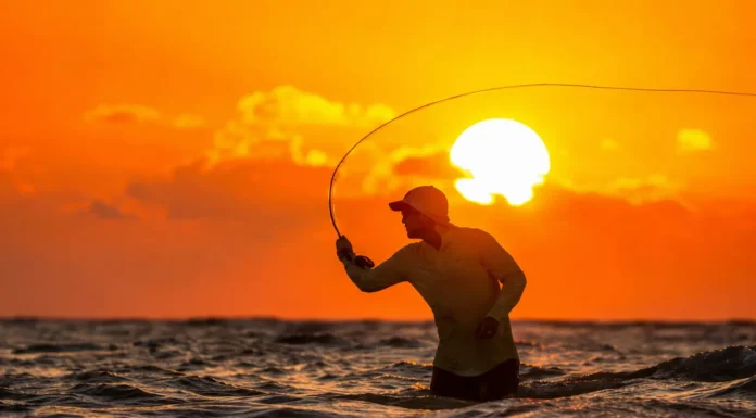 962 | Soulfly Co.: How Music and Fly Fishing Are Building a Stronger Community Capt. Kyle Schaefer Fly Fishing