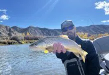 959 | Colorado Fly Fishing with Michael Tolerton from Golden Fly Shop Colorado Fly Fishing