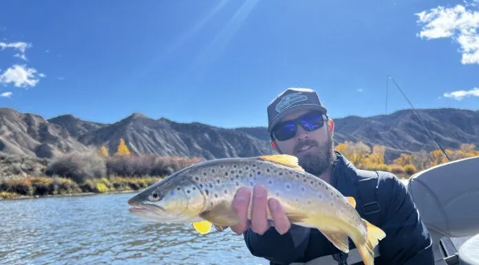 959 | Colorado Fly Fishing with Michael Tolerton from Golden Fly Shop Colorado Fly Fishing
