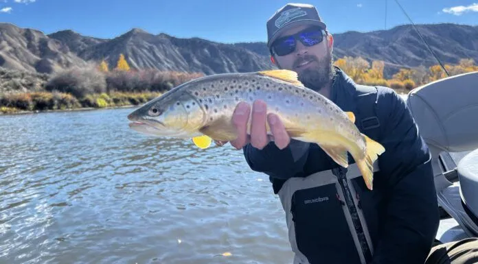 959 | Colorado Fly Fishing with Michael Tolerton from Golden Fly Shop Colorado Fly Fishing
