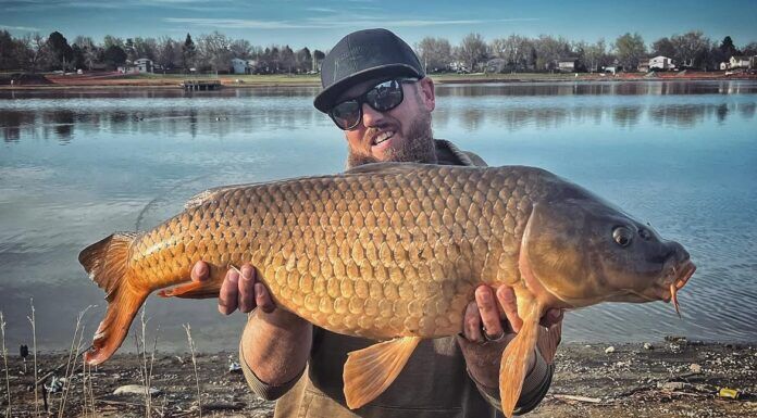 958 | Carp on the Fly: Rick Mikesell’s Guide to Denver’s South Platte