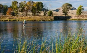 966 | Skip Morris on Imposters, Dry Flies, and the Secrets of Selective Trout Skip-on-the-Missouri-farmland.webp
