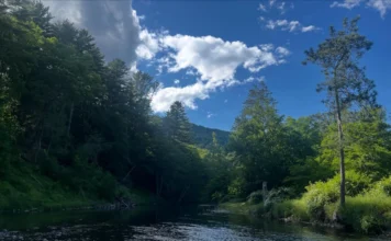 974 | Trout Unlimited’s Chris Wood on Conservation, Public Lands, and the Power of Anglers Trout-Unlimited-Conservation.webp